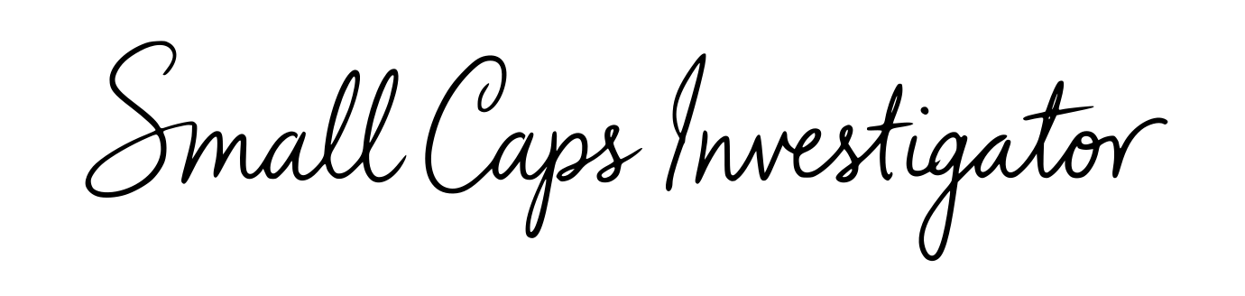 Fundamentalanalysen Small Caps Investigator